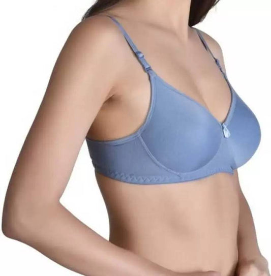 Sufiyana Ámour's Dusty Pink and Teal Padded Bra Set for Women